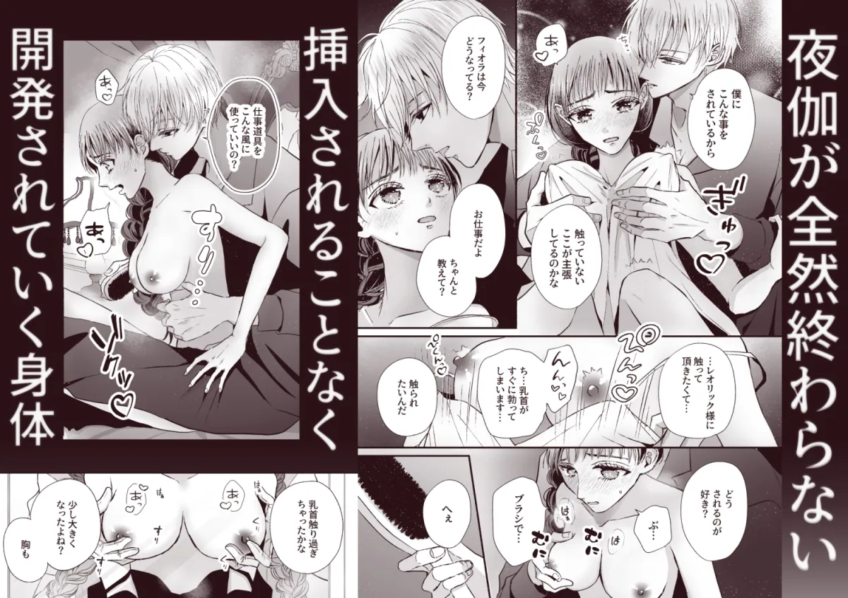 王子の夜伽は終わらない 王子の夜伽は終わらない