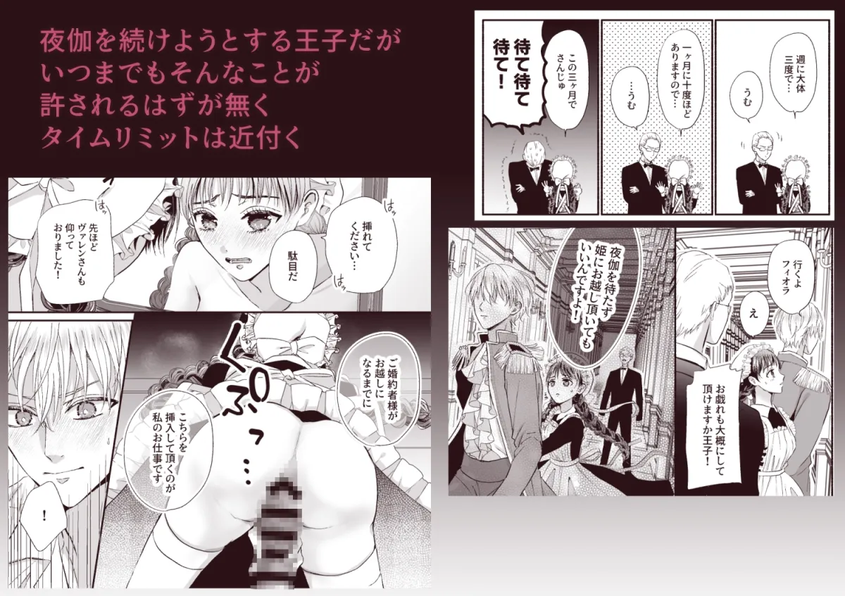 王子の夜伽は終わらない 王子の夜伽は終わらない