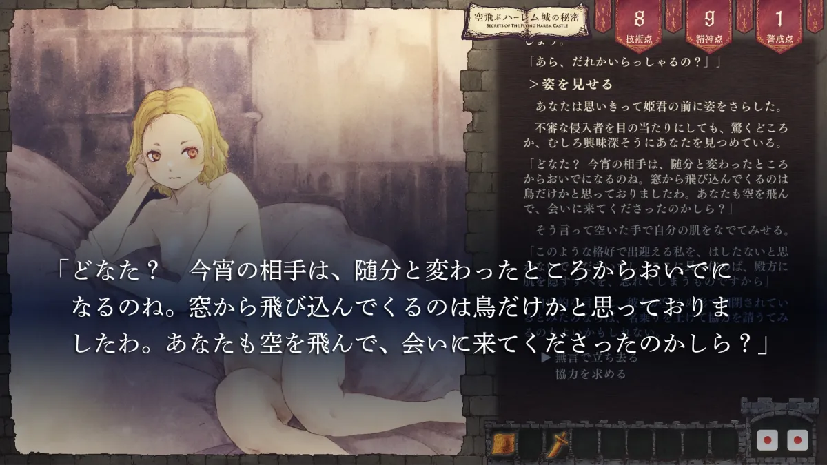 空飛ぶハーレム城の秘密 空飛ぶハーレム城の秘密