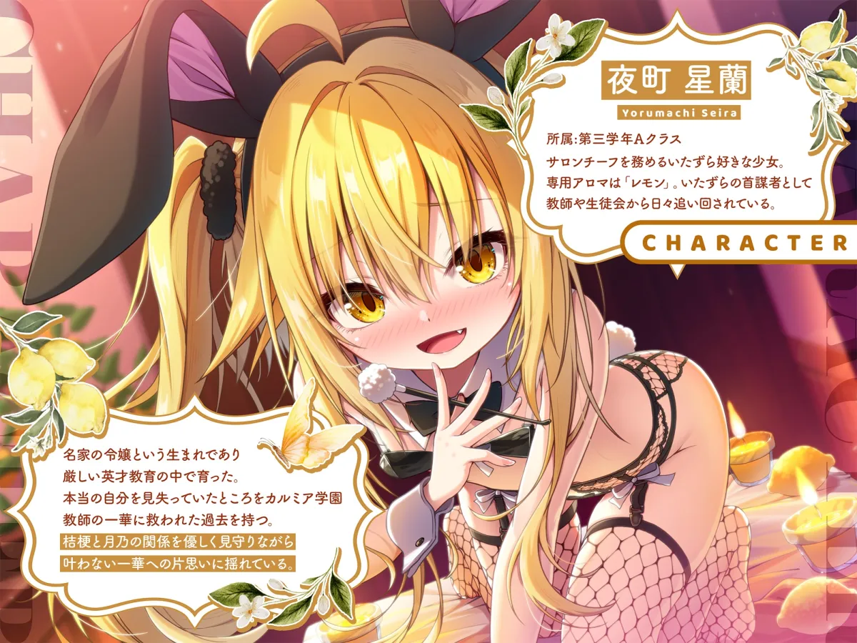 【百合ASMR】寄宿舎エステサロン 蜜月の灯りVI -夜町星蘭コース-