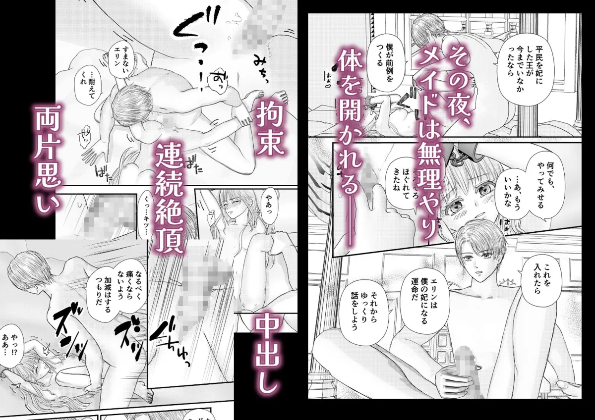 王太子の執着に溺れてメイドは恋を知る