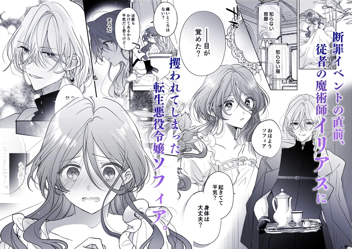 魔術師の偏愛2-TrueRoute-上