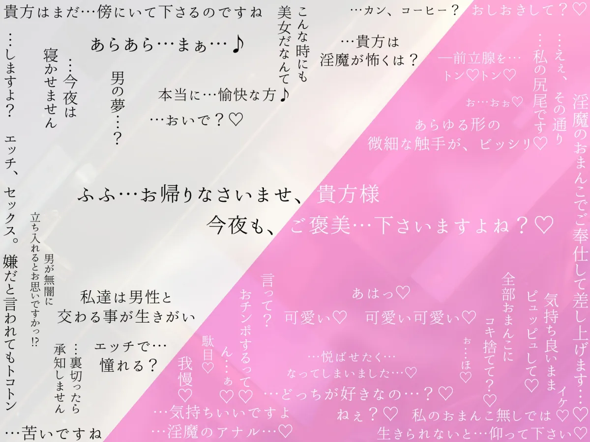 白銀の淫魔 あなたが助けた絶世の美女はエッチで優しい良妻賢母なおまんこ淫魔でした