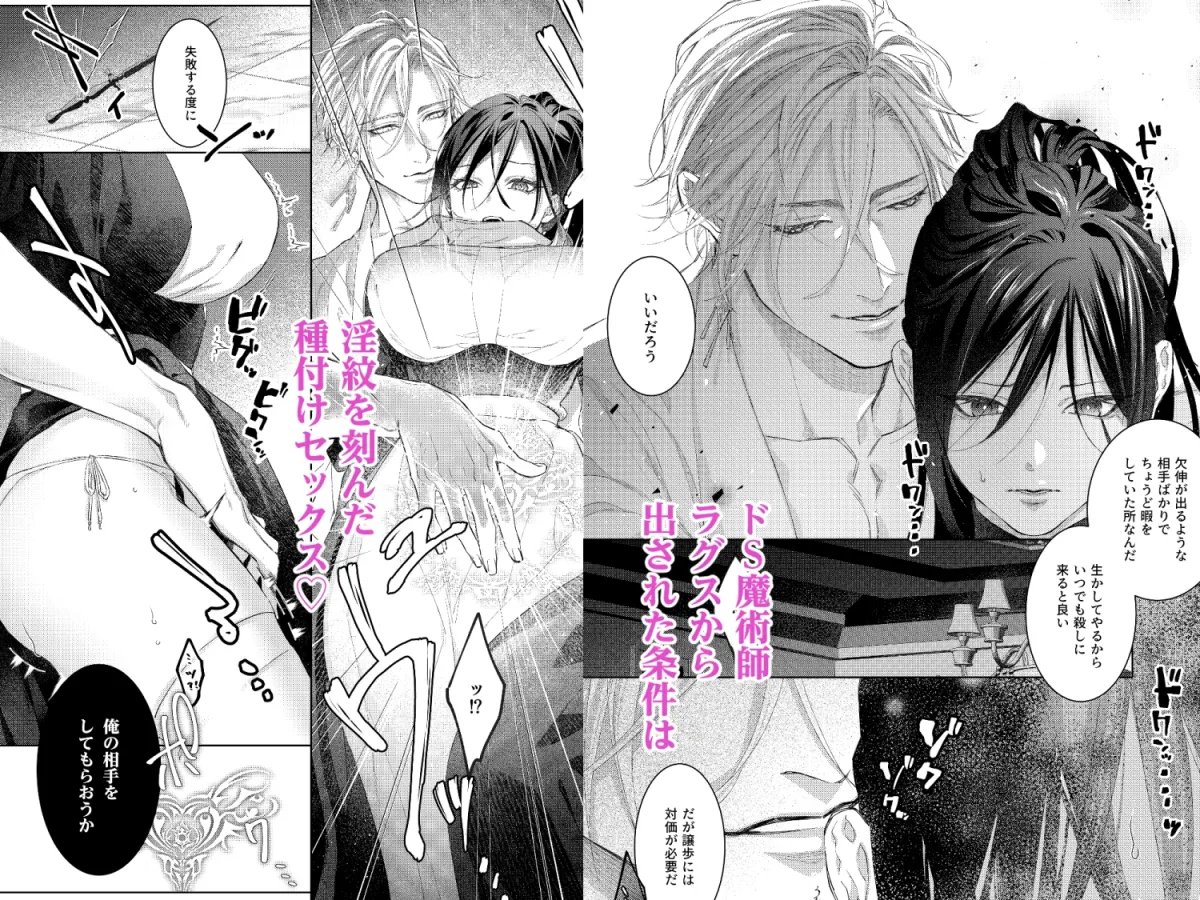 暗殺者は執着魔術師を殺せない