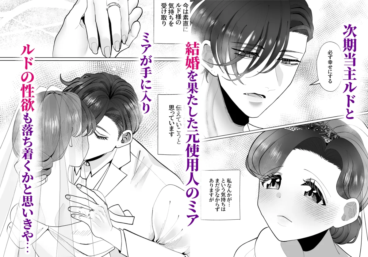 新婚中もむっつり若様はかなり強引