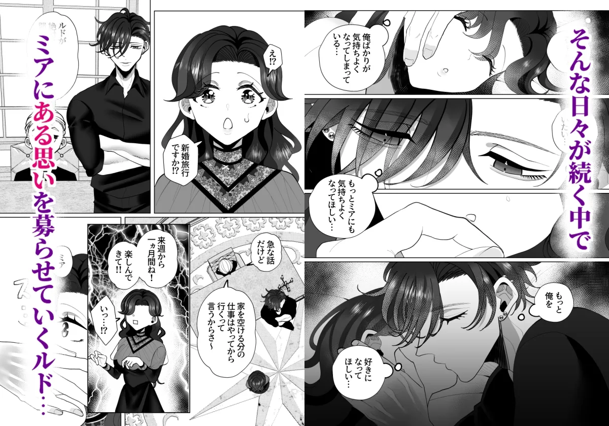 新婚中もむっつり若様はかなり強引