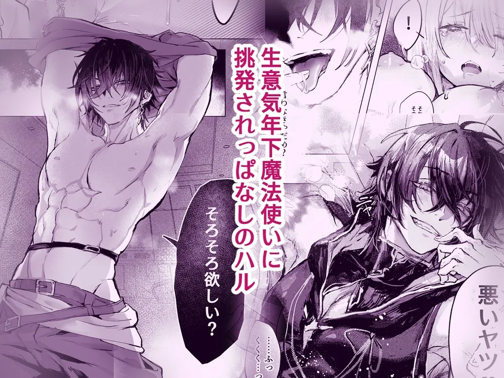 異世界魔法使いは帰れない1.5