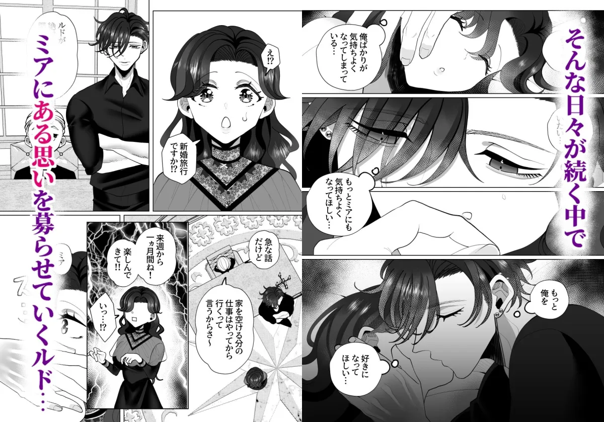 新婚中もむっつり若様はかなり強引