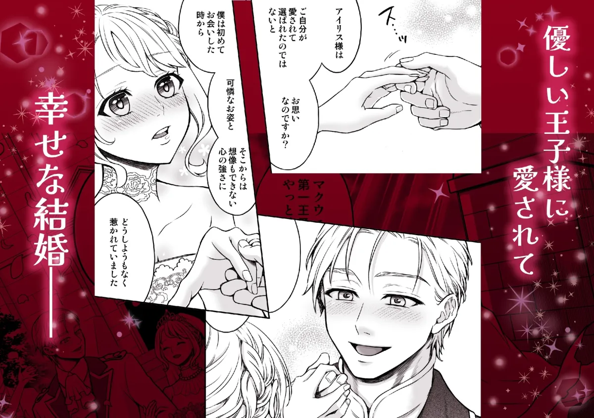 魔王と王子の花嫁 魔王と王子の花嫁