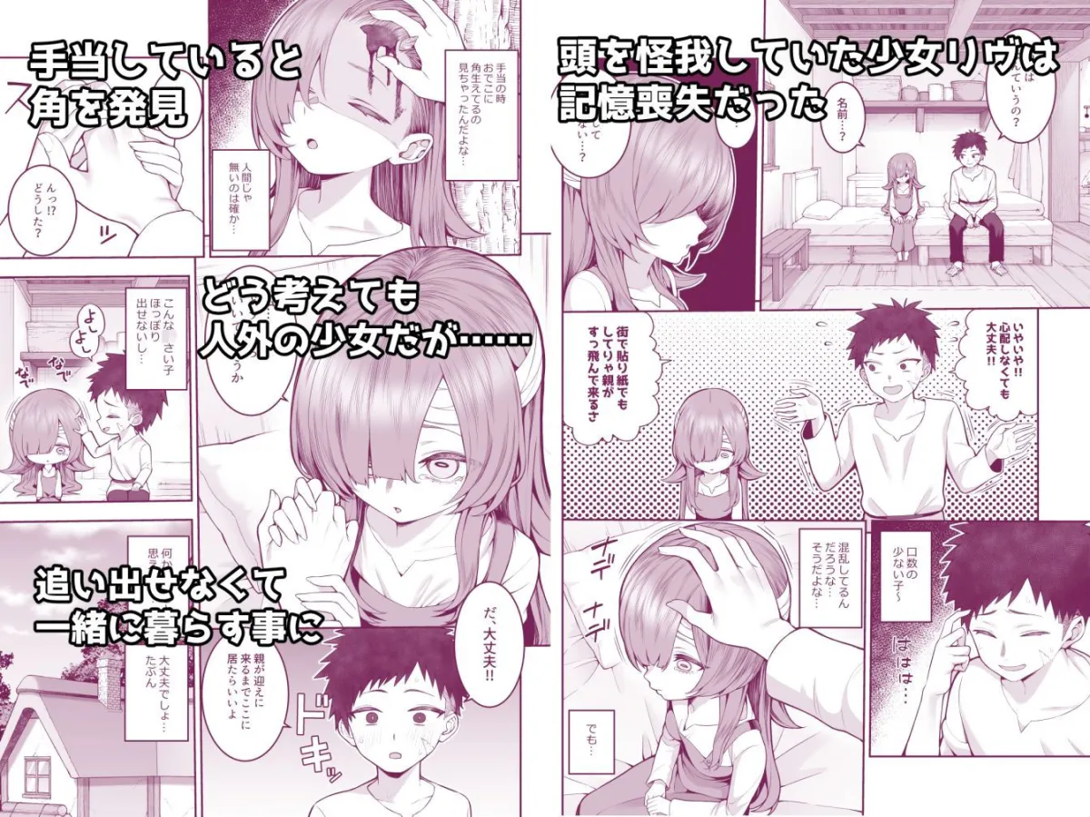 記憶喪失の娘を拾ったらサキュバスだった