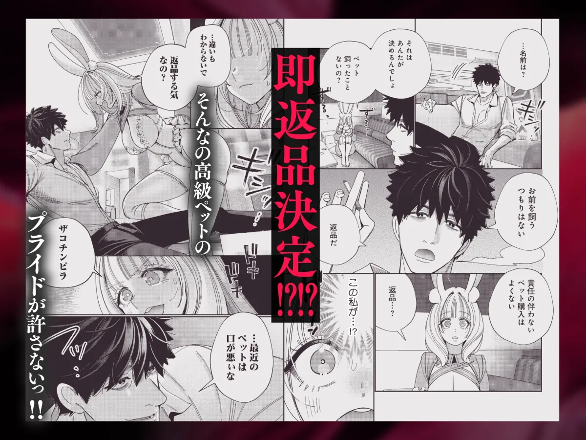 【R18版特典漫画付き】社畜マフィアと愛玩ウサギ～不本意ですが、種付け交尾にメス堕ちしました～