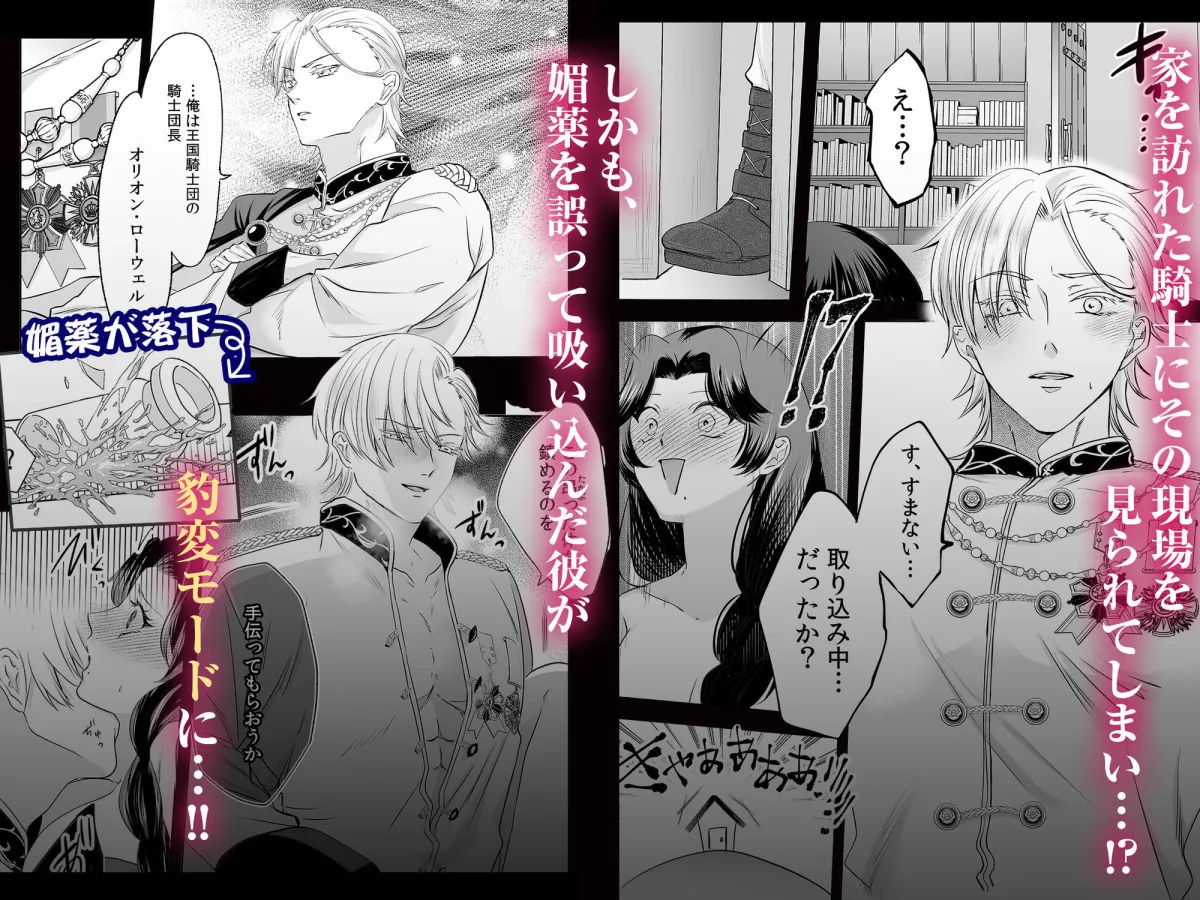 追放魔女は冷酷騎士の重すぎる愛に気付かない〜何度イッても終わらない暴走発情エッチ〜