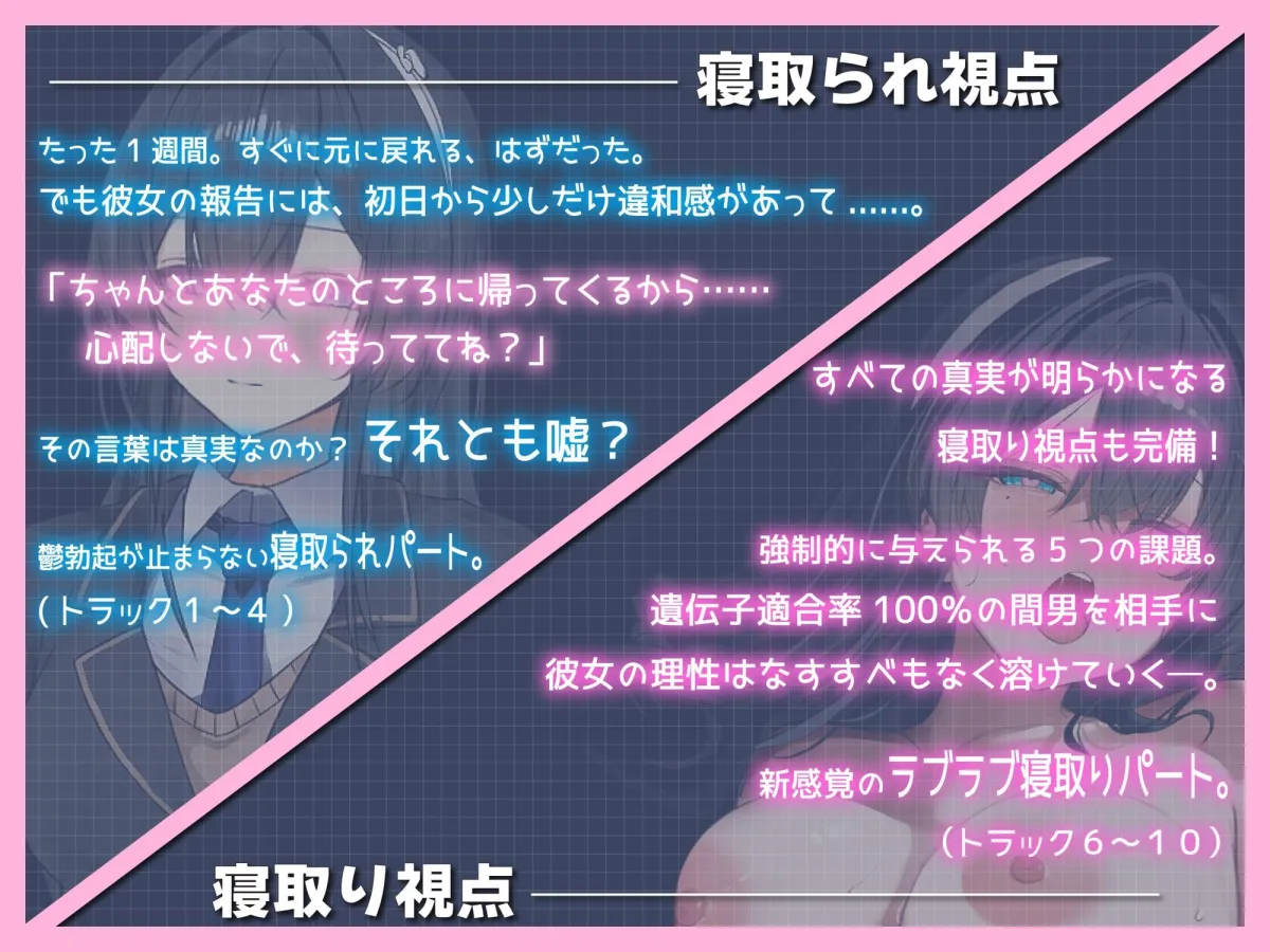 寝取られ報告義務化!Case:佐倉瑞希 寝取られ報告義務化!Case:佐倉瑞希