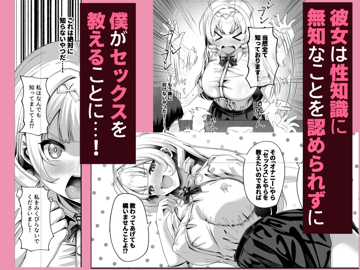 性知識にだけ無知すぎるお嬢様