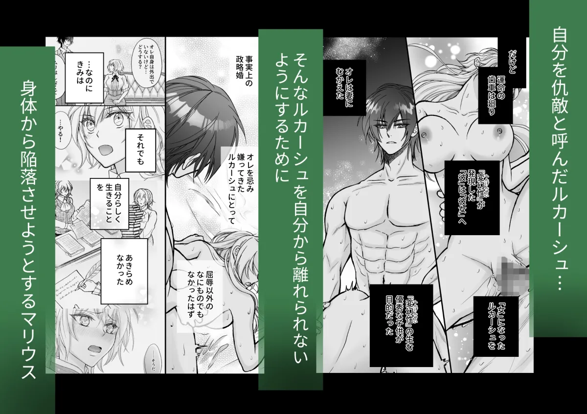 仇敵だった侯爵様が女になったオレにとろ甘溺愛を教えてくるんだが?~初めてのひと~ 仇敵だった侯爵様が女になったオレにとろ甘溺愛を教えてくるんだが?~初めてのひと~