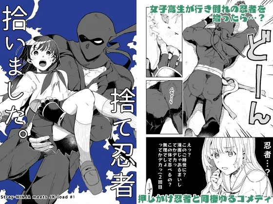 捨て忍者拾いました。