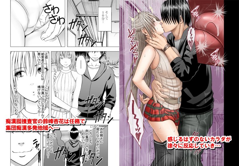 痴漢囮捜査官シリーズ