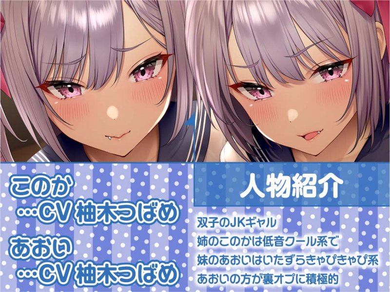 えちえち姉妹JKとマッサージリフレ裏オプ生中SEX!【フォーリーサウンド】 えちえち姉妹JKとマッサージリフレ裏オプ生中SEX!【フォーリーサウンド】