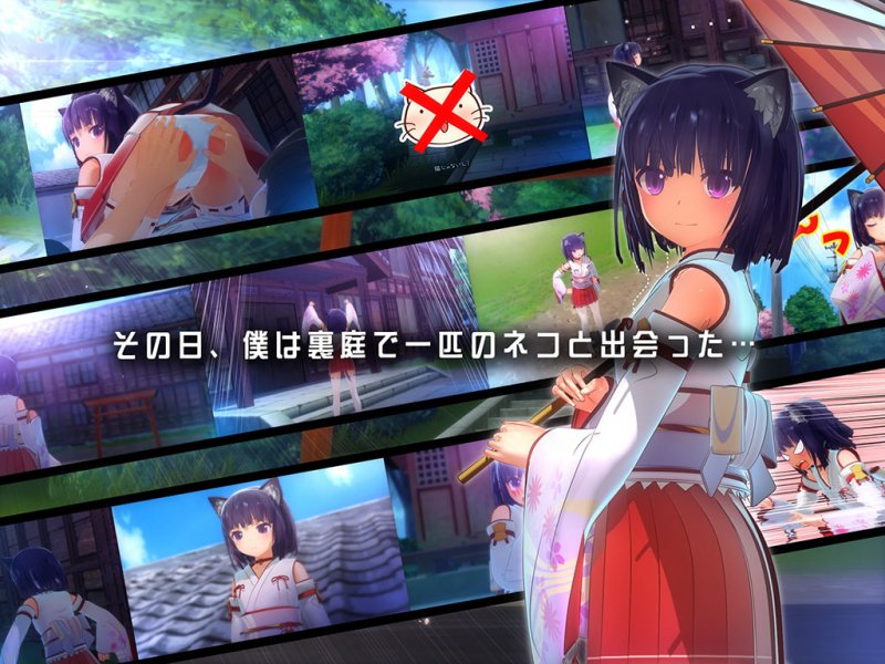 裏庭の土地神様 裏庭の土地神様