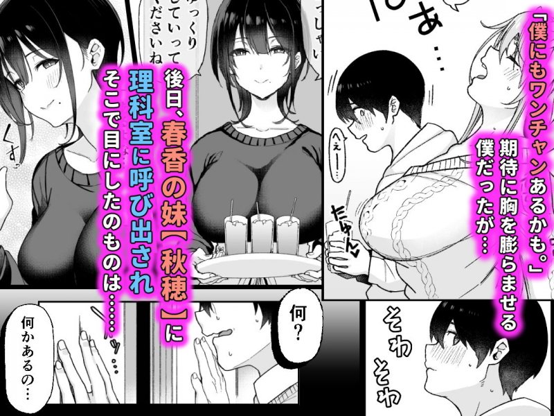 幼馴染のお姉さんが寝取られたので、僕はあなたの妹とセックスしてもいいですか? 幼馴染のお姉さんが寝取られたので、僕はあなたの妹とセックスしてもいいですか?