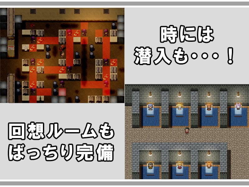 ギルドの眠り姫