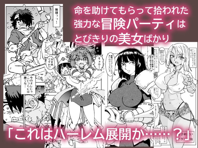 うちの冒険パーティの娼婦スキルが高すぎる お姉さん系ヒーラー/ミキの場合 うちの冒険パーティの娼婦スキルが高すぎる お姉さん系ヒーラー/ミキの場合