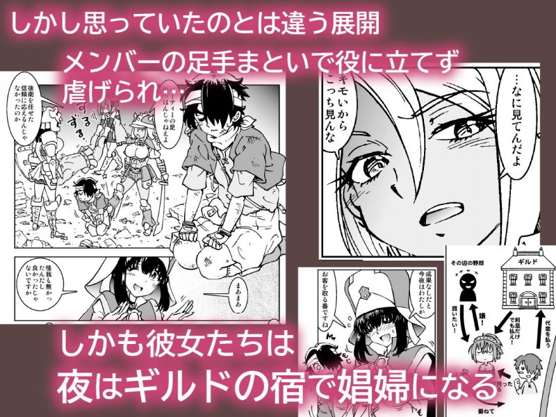 うちの冒険パーティの娼婦スキルが高すぎる お姉さん系ヒーラー/ミキの場合 うちの冒険パーティの娼婦スキルが高すぎる お姉さん系ヒーラー/ミキの場合