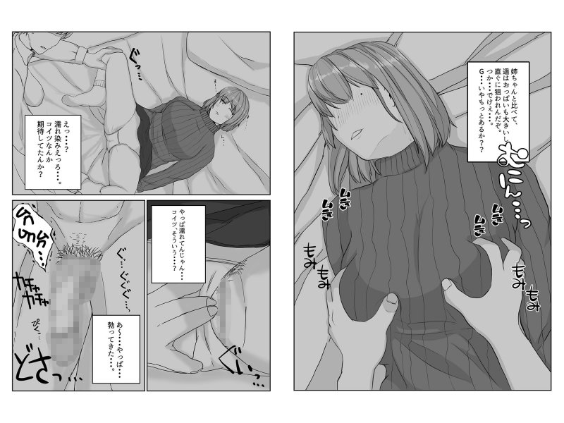 姉の彼氏を愛してる 姉の彼氏を愛してる