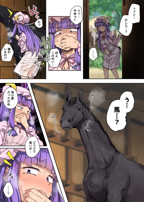 【馬チンポ×パチュリー】穴と馬【東方Project】