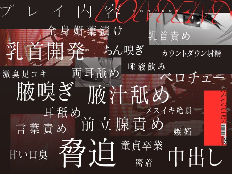 低音ボイスの汗だくサキュバスによる乳首責めと前立腺責め 低音ボイスの汗だくサキュバスによる乳首責めと前立腺責め