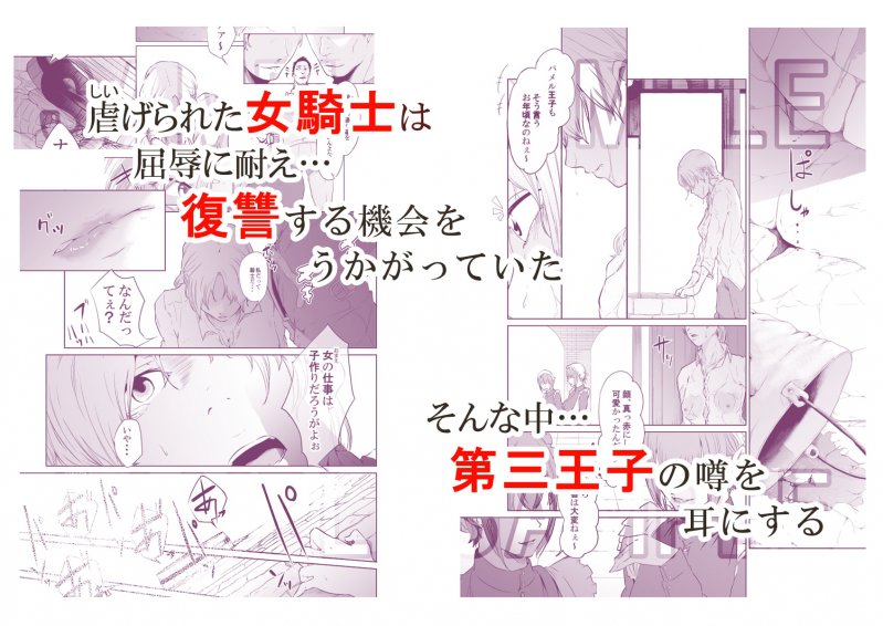 女騎士のはかりごと