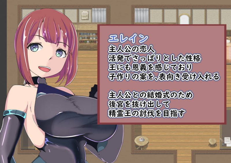 後宮のエレイン～愛する彼女は世界のために王の寝室へ向かう～