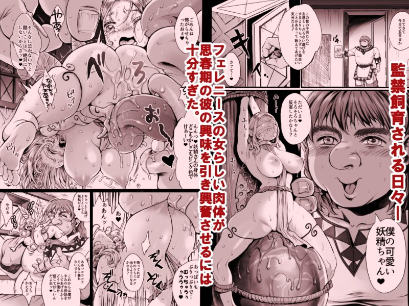 妖精さんをつかまえた!前編 妖精さんをつかまえた!前編