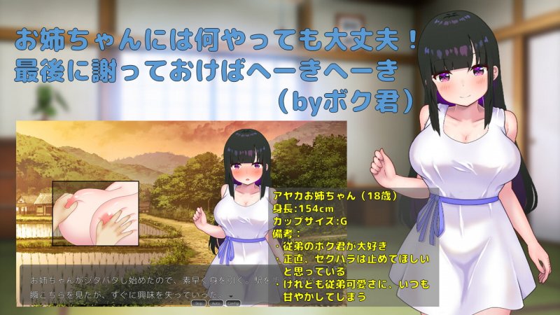 【Live2Dおさわり】ボクのセクハラは大体許してくれる従姉を孕ませる夏休みSLG