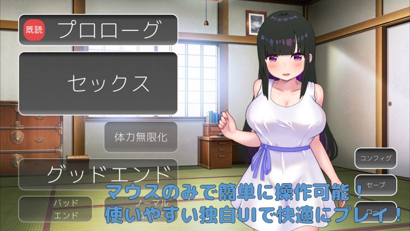 【Live2Dおさわり】ボクのセクハラは大体許してくれる従姉を孕ませる夏休みSLG
