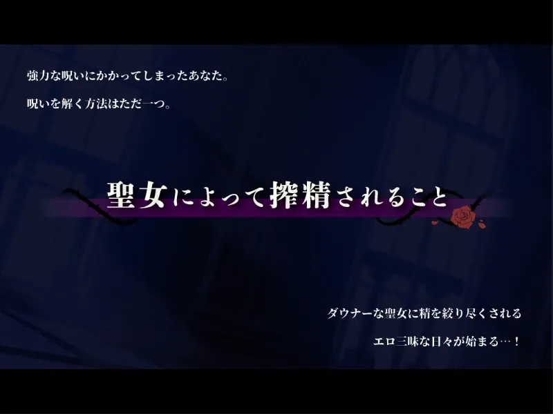 【CV:柚木つばめ】【オホ声】低音ダウナー系ドスケベシスターの事務的オナホ聖処理