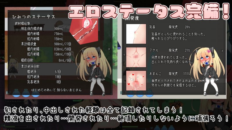 【エロアクションゲーム】セシリアちゃんとえっちなダンジョン