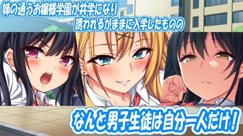 お嬢様学園に男子1人 絶倫チンポで友達100人出来るかな? お嬢様学園に男子1人 絶倫チンポで友達100人出来るかな?