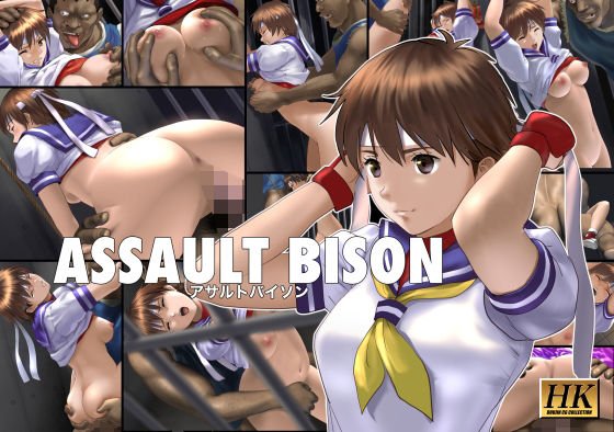 【ストリートファイター さくら】アサルトバイソン