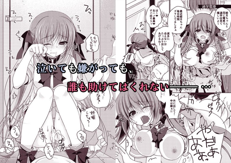 妹調教日記再録集【総集編】 妹調教日記再録集【総集編】