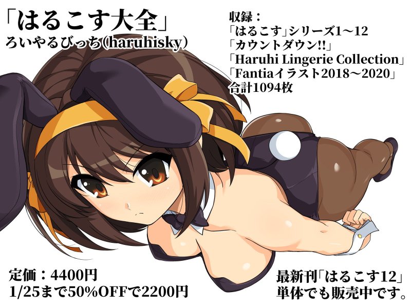 【涼宮ハルヒ二次創作総集編】はるこす大全