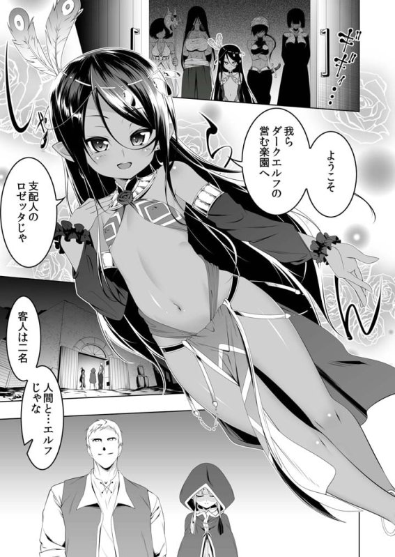 【ロリエルフ】恍惚の騎士エルフィナ外伝 【ロリエルフ】恍惚の騎士エルフィナ外伝