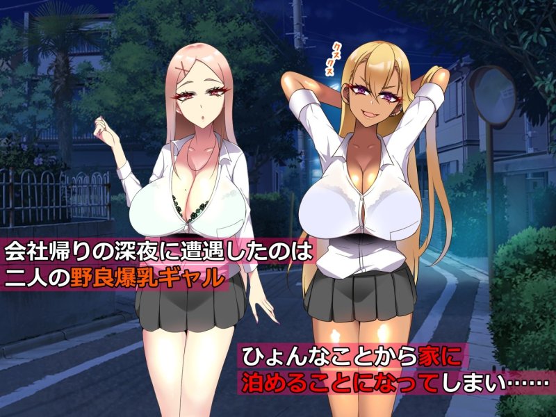 【JK】【55％オフ】野良ギャルに家に住みつかれたら人生が一変した話【期間限定】