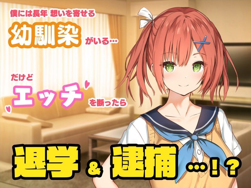 SSS許可証~好きなときに、好きなだけ、好き放題されるボクの学園生活~ SSS許可証~好きなときに、好きなだけ、好き放題されるボクの学園生活~