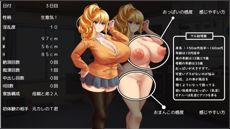 【痴漢調教ゲーム】爆乳ギャル痴漢電車 【痴漢調教ゲーム】爆乳ギャル痴漢電車
