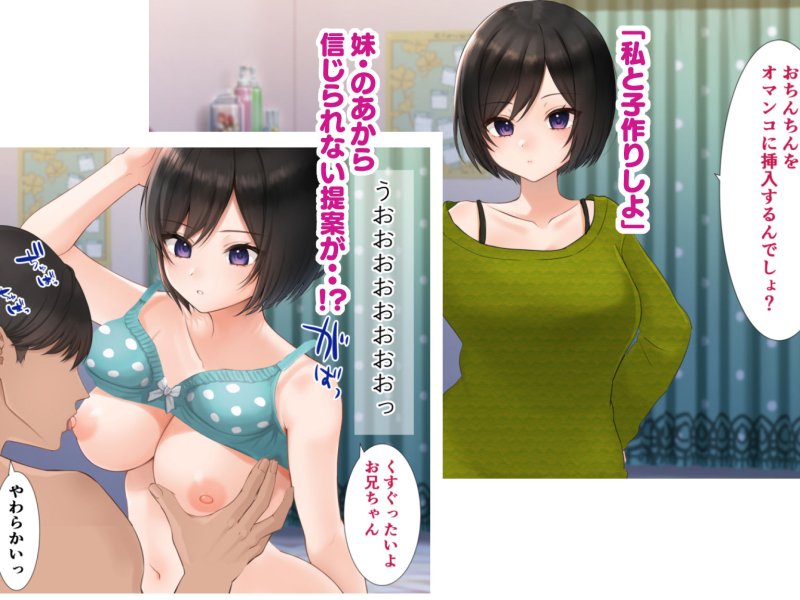 【兄×JK妹 孕ませ近親相姦】妹と内緒の子作り生活。排卵日は中出しだよ