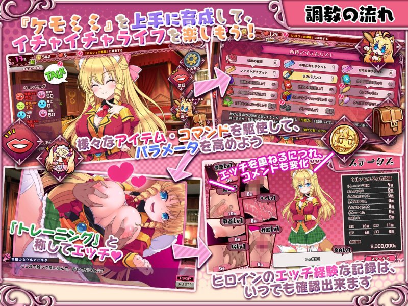 【ケモミミ娘調教SLG】ケモミミ☆トレーニング ～狂暴けもみみ令嬢調教トライアル