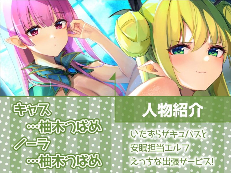 安眠担当＆いたずら担当!えちえち出張サキュバス＆エルフ!【フォーリーサウンド】