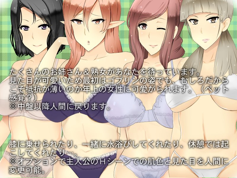 【おねショタエロRPG】異世界で人妻多めなお姉さん達と冒険しませんか?～おねしょたハーレム転生譚