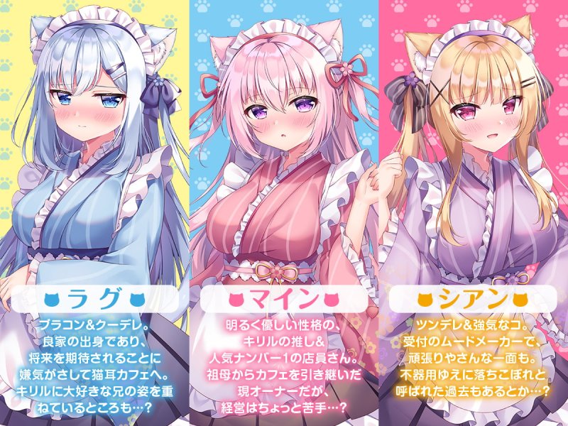 猫耳ぱらだいす! 猫耳ぱらだいす!